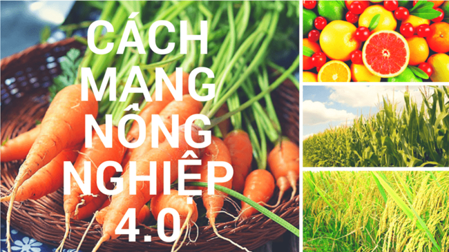 Mô hình share farm ứng dụng công nghệ 4.0 (25/1/2019)